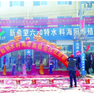 ��Ͼ��^��ϣ�����Ͳ��֡��rȫ�a�I朡������������y�rֵ�^