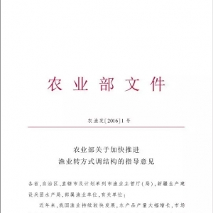 �r�I�����lչ�F���O�IҪ�ӿ����M�D��ʽ�{�Y��