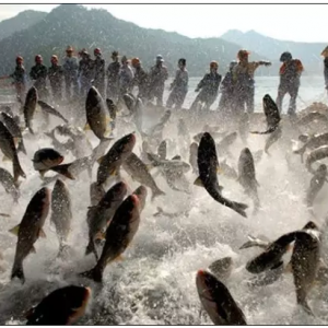 ˮ�a���������������ˣ���ꐲ������V�����ൽ����ʲô