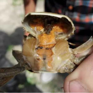 ȥ��6�·��K������e���lˮ�T�Ӳ���������η��زŲ����ص����H