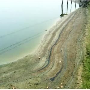 �׷ʵ������������˽���٣�