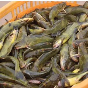 �Bֳʮ���³��S��~�����������_2�f�K��������ô�����ģ�