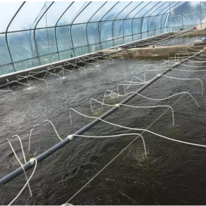 �A�е؅^���r�Bֳ���������r�絭���˴ּ��g�ɵ�һ���P��