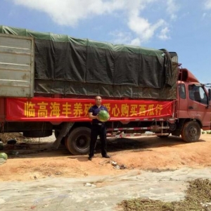 �R�ߺ��S�Bֳ��˾������ُ2�f�����ϣ�����r�őn���y