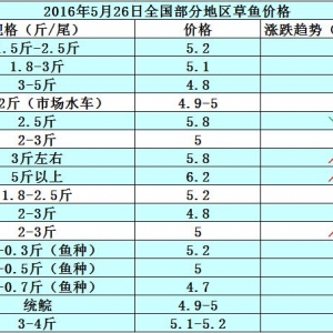 2016��5��26�ղ��~���a�~���S��~��������������߅�r