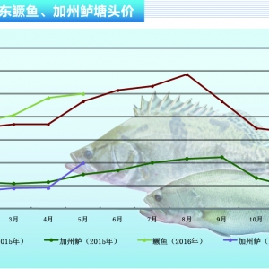 �Z�~���r�����ϝq������ˮ�aǰ�ء�2016��5�¿��Ј�څ��