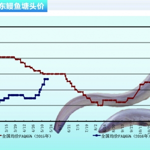 ���~�������Ј�ӭ���~�r�ϝq������ˮ�aǰ�ء�2016��6�¿��Ј�څ��