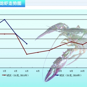 С���r���Ј���������2.5�� �r���µ� ������ˮ�aǰ�ء�2016��6�¿��Ј�څ��