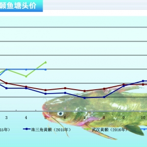 �S��~��������ԝq�r����򌢝uƽ��������ˮ�aǰ�ء�2016��6�¿��Ј�څ��