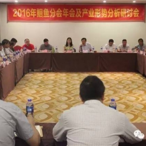 �Ї��t�~�a�I��Α��������Q�ױډ��·���