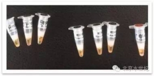 �����������r���r���c���x�z���ʞ�һ����6��