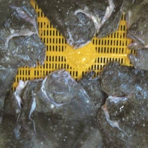 �����~�r�񲨄�Ҏ�ɣ�����պÕr�C�ˆ᣿