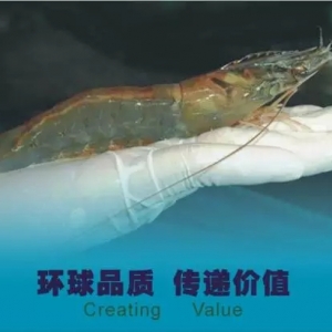 ������֪�ĭh����Bֳ�����������r��