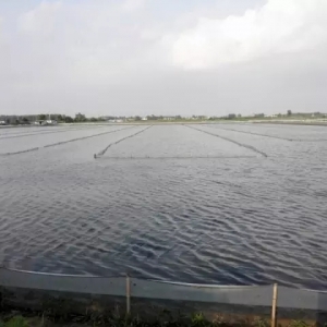 ����÷�꼾ˮ�������K�ݔ���з�����l�ķ���