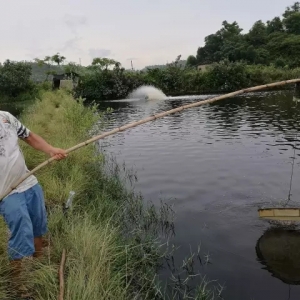 �㽭�B�r�_����Δ[Ó�B�r���ò��^���ꡱ��ħ��