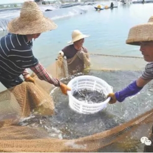 Ŀǰ���r�Ј�һƬ��ã��°����r�r�Ƿ��^�m��ͦ��