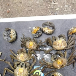 2016�K����з�Bֳ�ܷ���Óˮ�T��ħ�ƣ�