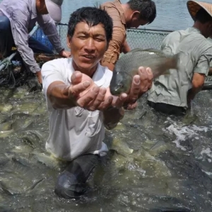 �A�|�a�~�w��Ѫ�߰l������ˮ�~�����������