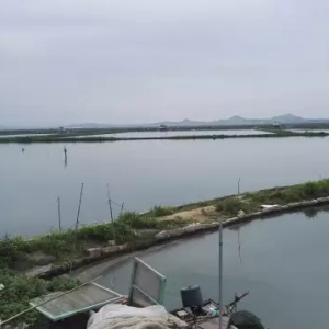 �߹�(ji��)���r����������B(t��i)���B(y��ng)ֳ�͹���