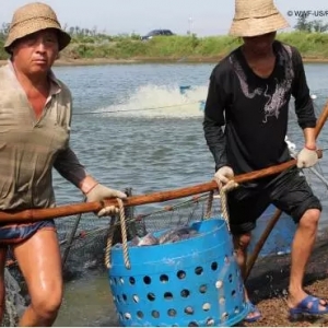 �����_���~�M�����½����Ї��Gʧ�Ј����~