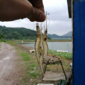 һ�W��Mȫ��11���B�rʡ��6�·݄ӑB�R��