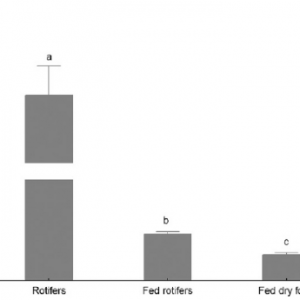 ������đʯ���~��������ơ� �������������֣�