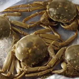 ��з�Bֳ���ӵİlչ������ܳ��m���գ�