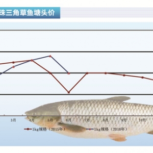 ���~��������������~�����^�m�I�������^�򡪡���ˮ�aǰ�ء�2016��7�¿��Ј�څ��