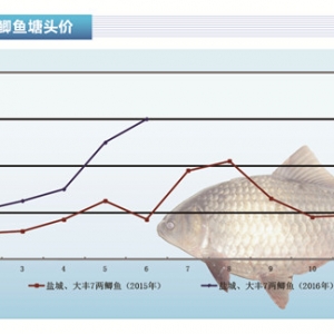 �a�~��7�������Է�(w��n)���F(xi��n)�����������ˮ�a(ch��n)ǰ�ء�2016��7�¿��Ј�څ��