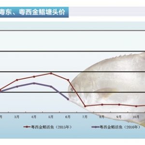 ���K�����~�u���� Խ������Ʒ�~�r���ܛ_��������ˮ�aǰ�ء�2016��7�¿��Ј�څ��