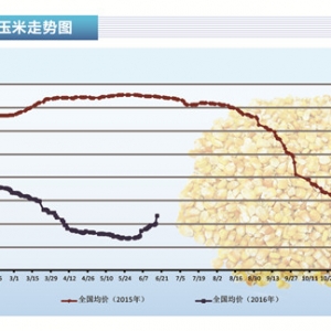 ���ף��Ј��������ƫ�o ���߼Z�鹩������������ˮ�aǰ�ء�2016��7�¿��Ј�څ��
