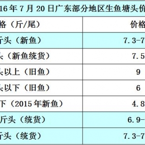 �r���܈��Ј��N���s�p  �������~�r��څ��