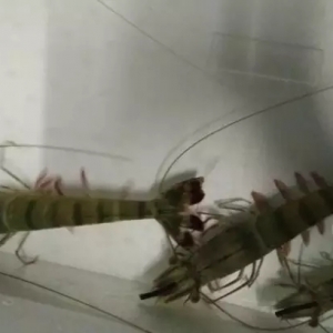 �߹����r�ɻ���L�U�ͣ�2.8��ӯ��21�f