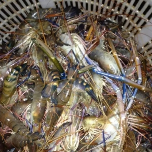 �_�����r�r�ߣ���ԇԇ�@����ģʽ��̝���ˣ�