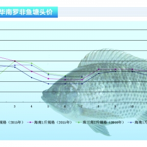 �_���~���������� �~�r�����؝q�С�����ˮ�aǰ�ء�2016��8�¿��Ј�څ��