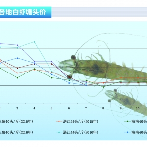 ���r���Ј��N��ƣܛ �r�r�ϝq���衪����ˮ�aǰ�ء�2016��8�¿��Ј�څ��