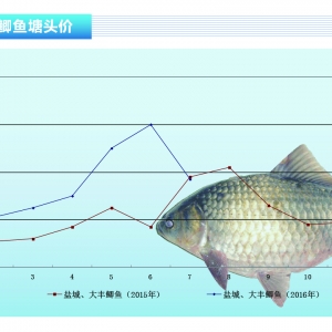 �a�~���A�y8�������ԾS�֬F(xi��n)�����������ˮ�a(ch��n)ǰ�ء�2016��8�¿��Ј�څ��