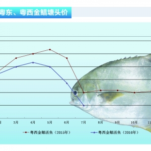���K�����B���~�������� �_���~�r�µ�������ˮ�aǰ�ء�2016��8�¿��Ј�څ��