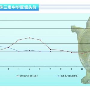 ���~��7���~�r�^�m����λ�ǻ�������ˮ�aǰ�ء�2016��8�¿��Ј�څ��