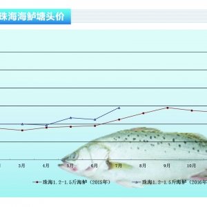 ���|���r�񷀲��ϝq������ˮ�aǰ�ء�2016��8�¿��Ј�څ��
