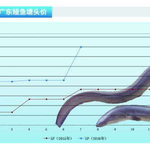 ���~���Ї�(gu��)��ꑮa(ch��n)���_(t��i)���a(ch��n)�~�r(ji��)�j��������ˮ�a(ch��n)ǰ�ء�2016��8�¿��Ј�(ch��ng)څ��(sh��)