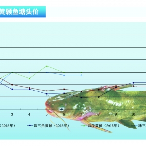 �S��~���~�r����������ˮ�aǰ�ء�2016��8�¿��Ј�څ��