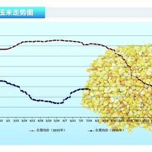 ���ף����ؼZԴͶ�� ��������څ��������ˮ�aǰ�ء�2016��8�¿��Ј�څ��