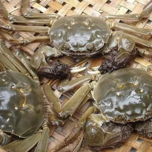 ��з�Bֳ���ڹ��������P�I�c��ˮ�T�ӷ��ش�ʩ