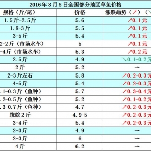 2016��8��8�ղ��~���a�~��������������߅�r