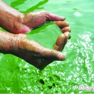 ���{�塱��ǰ������������Ŀ��᣿