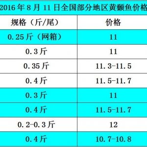 2016��8��11�ո����S��~���r�����麆��