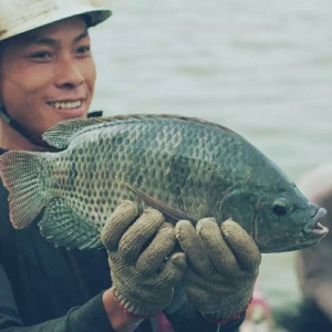 �����a�Iģʽ�����ܮa�I�rֵ朡��������_���~�ИI�ɳ��m�lչ���