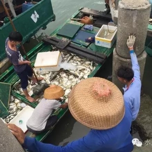 �������K�~ȱ������e�������~�r����1Ԫ/��