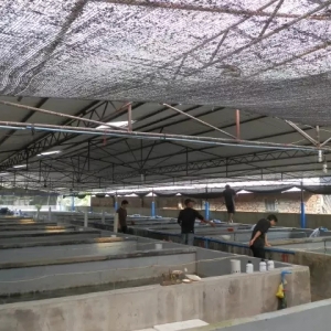 ����ʯ���~�������Щ�������Ă��f